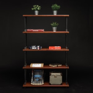 May include: A four-tier industrial pipe shelf unit with wooden shelves. The shelves are decorated with books, potted plants, and a vintage-style suitcase. The books include "Genesis" and "DEX".