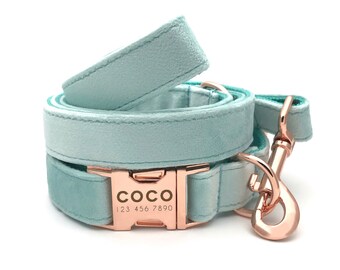 aqua blue dog collar