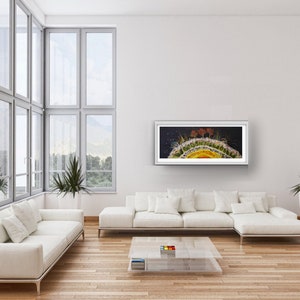 Op de afbeelding: Een ingelijst abstract schilderij in geel, oranje en groene tinten. Het schilderij toont een cirkelvormige vorm met een donkere achtergrond en een helder centrum. Het schilderij hangt aan een witte muur in een woonkamer.