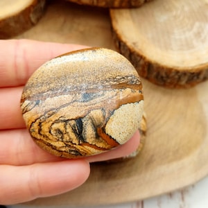 Landscape Jasper Disc Stone Flat Marble Jasper Hand Stone Worry Stone Grief Recovery Soul Cleansing Jasper Soapstone