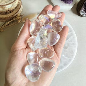 Lot de cabochon de pierres précieuses d'obsidienne acajou, pierres