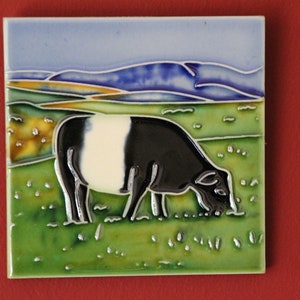 Belted Galloway - Ceramic Picture Tile