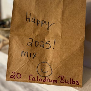 HAPPY 2025 Caladium Mix (gemischte Sorte 20 Zwiebeln) Schönes Laub für Innen- und Außenbereich - Blue Buddha Farm