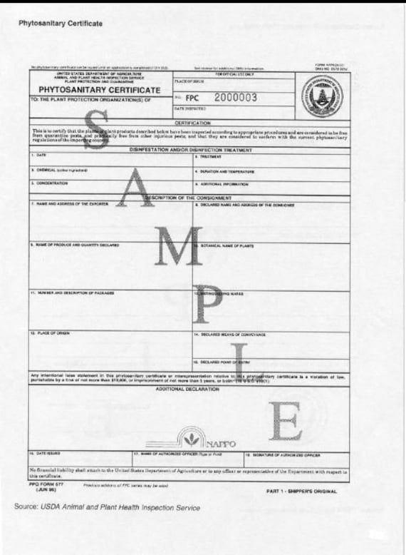 少量注文の植物検疫検査 - Etsy 日本