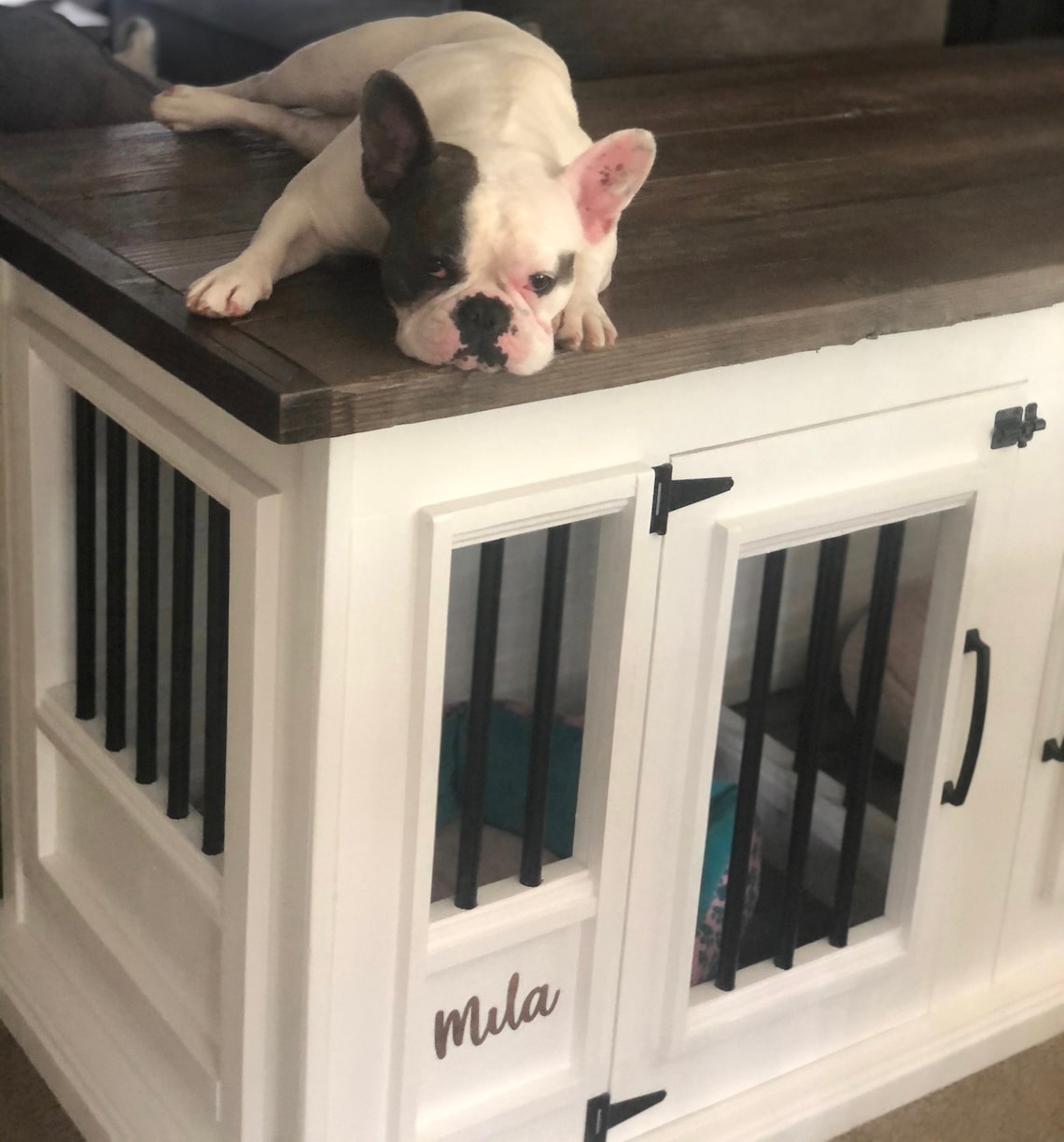 Custom Double Dog Crate Etsy