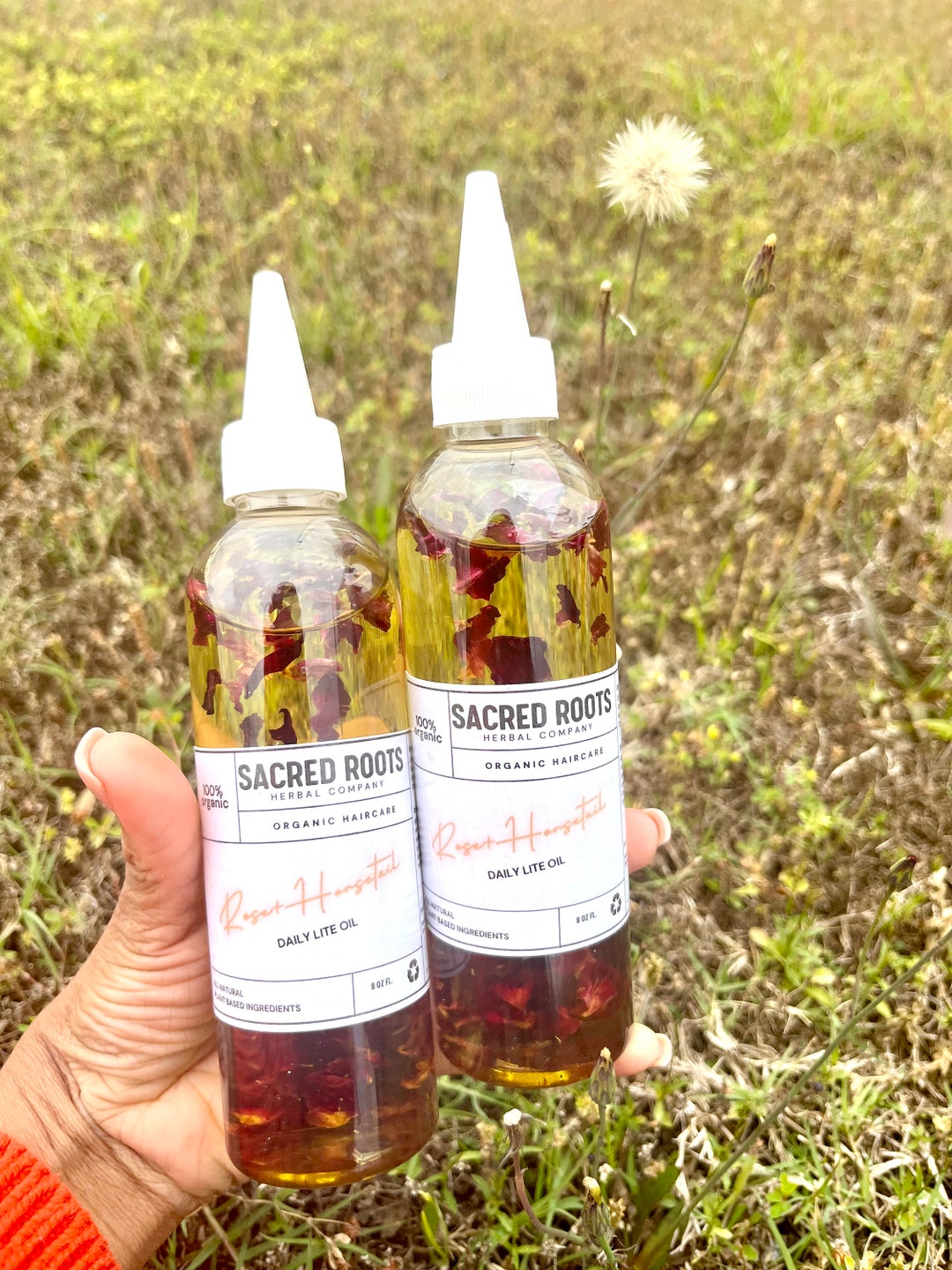 Rose Horsetail Daily Lite Oil / Hair Growth Oil / Daily Hair Etsy