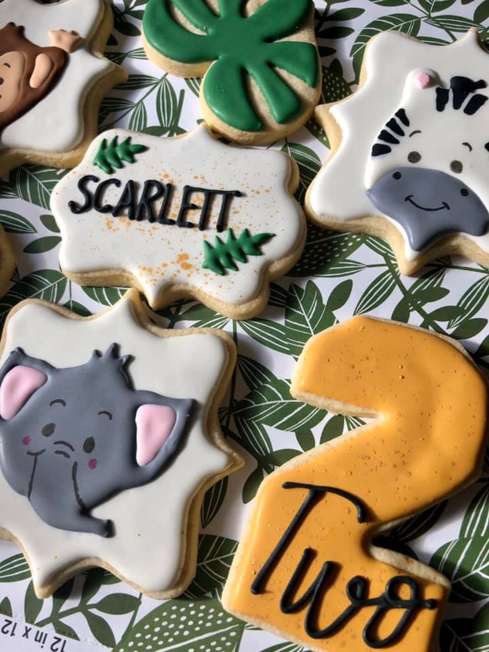 Jungle Theme Royal Icing Cookies Etsy UK