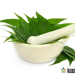 May include: A white mortar and pestle with green neem leaves inside. The mortar and pestle are made of ceramic and are used for grinding herbs and spices.