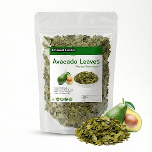 Biologische gedroogde avocadobladeren | Hojas De Aguacate voor thee | Gesneden en verschoven | Persea americana