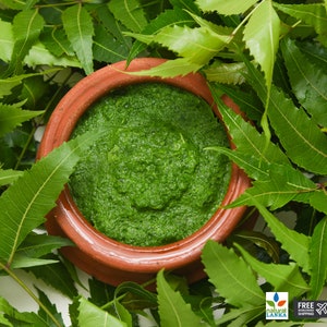 May include: A close-up of a terracotta bowl filled with a vibrant green paste made from neem leaves. The bowl is surrounded by fresh neem leaves.