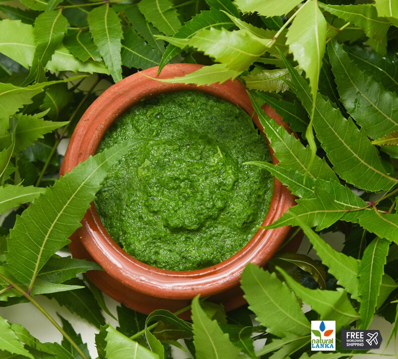 May include: A close-up of a terracotta bowl filled with a vibrant green paste made from neem leaves. The bowl is surrounded by fresh neem leaves.