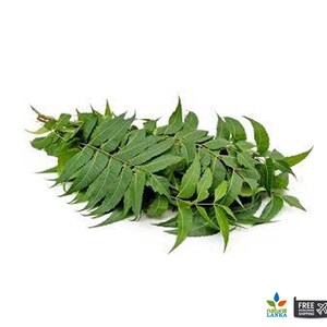 May include: A bunch of fresh green neem leaves, a natural remedy used in traditional medicine.