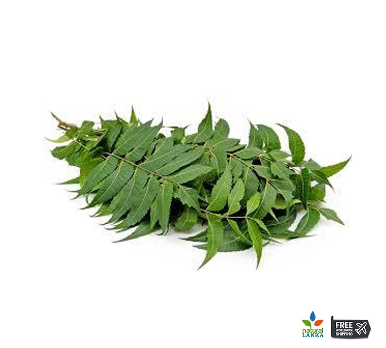 May include: A bunch of fresh green neem leaves, a natural remedy used in traditional medicine.