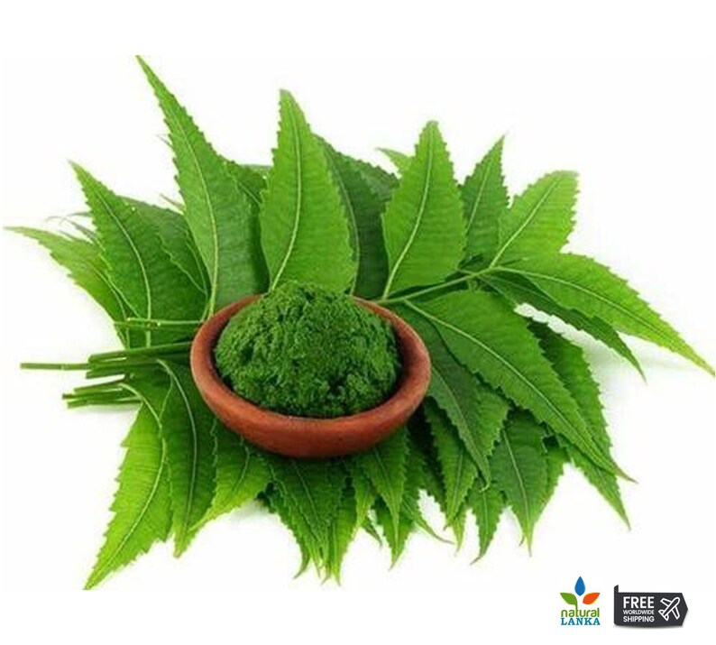 May include: A bowl of green neem powder surrounded by fresh neem leaves. The leaves are a vibrant green and have a slightly serrated edge.
