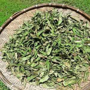 May include: A woven bamboo basket filled with dried green leaves. The leaves are spread out evenly in the basket, which is sitting on a bed of green grass.