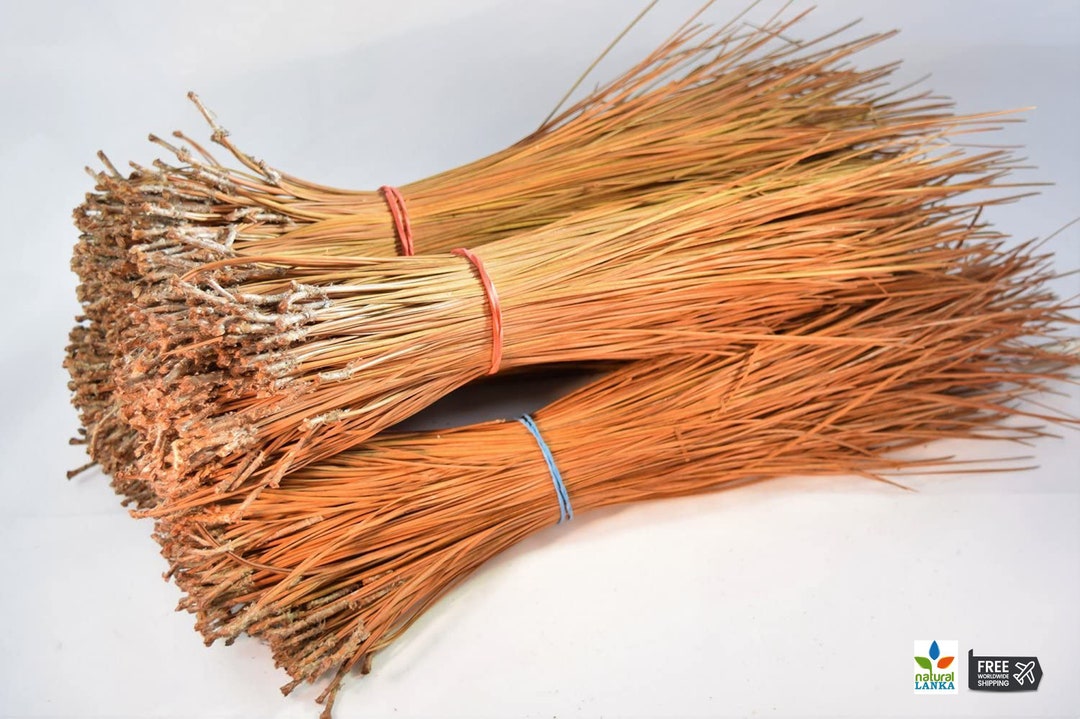 Long Leaf Pine Needles for Basket Making, Crafting, Mat Weaving