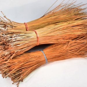 May include: Two bundles of natural brown pine needles tied together with red and blue rubber bands. The bundles are arranged on a white surface.