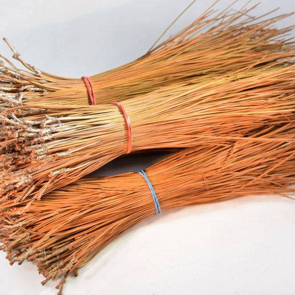 Long Leaf Pine Needles for Basket Making, Crafting, Mat Weaving, Sculptural Weaving & floral arrangements.