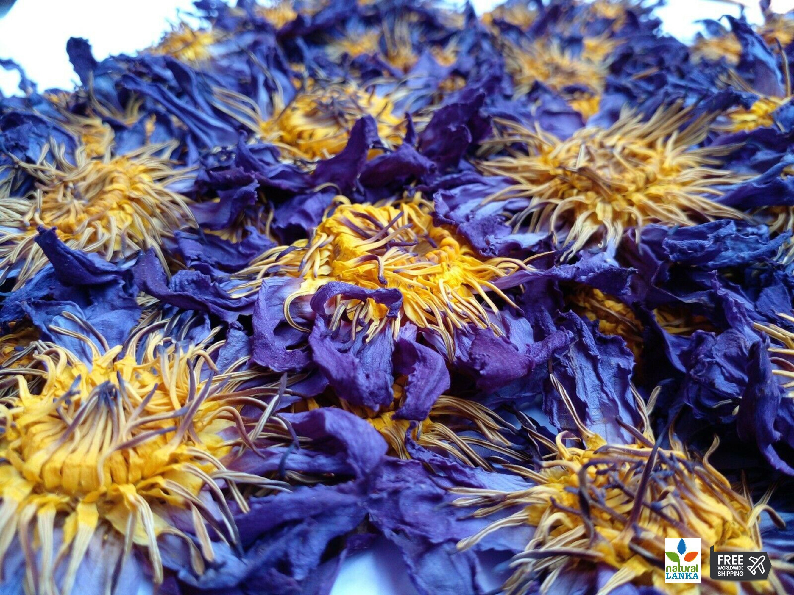 Ägyptischer Blauer Lotusblüten Tee 100% Bio Nymphaea caerulea