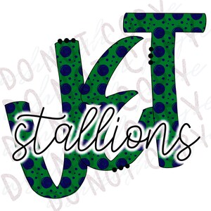 May include: Green and blue patterned letters "JT" with the word "stallions" written in black cursive below.