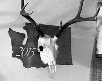 State and Year Trophy Skull Mount with Euro mount hook, hunting, display, trophies,