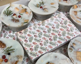 Set 10 WINTER SPRUCE Berry Farmhouse Fire Starters Gift Box, Indoor Woodstove Fireplace Firestarters, Winter Hygge Housewarming Holiday Gift