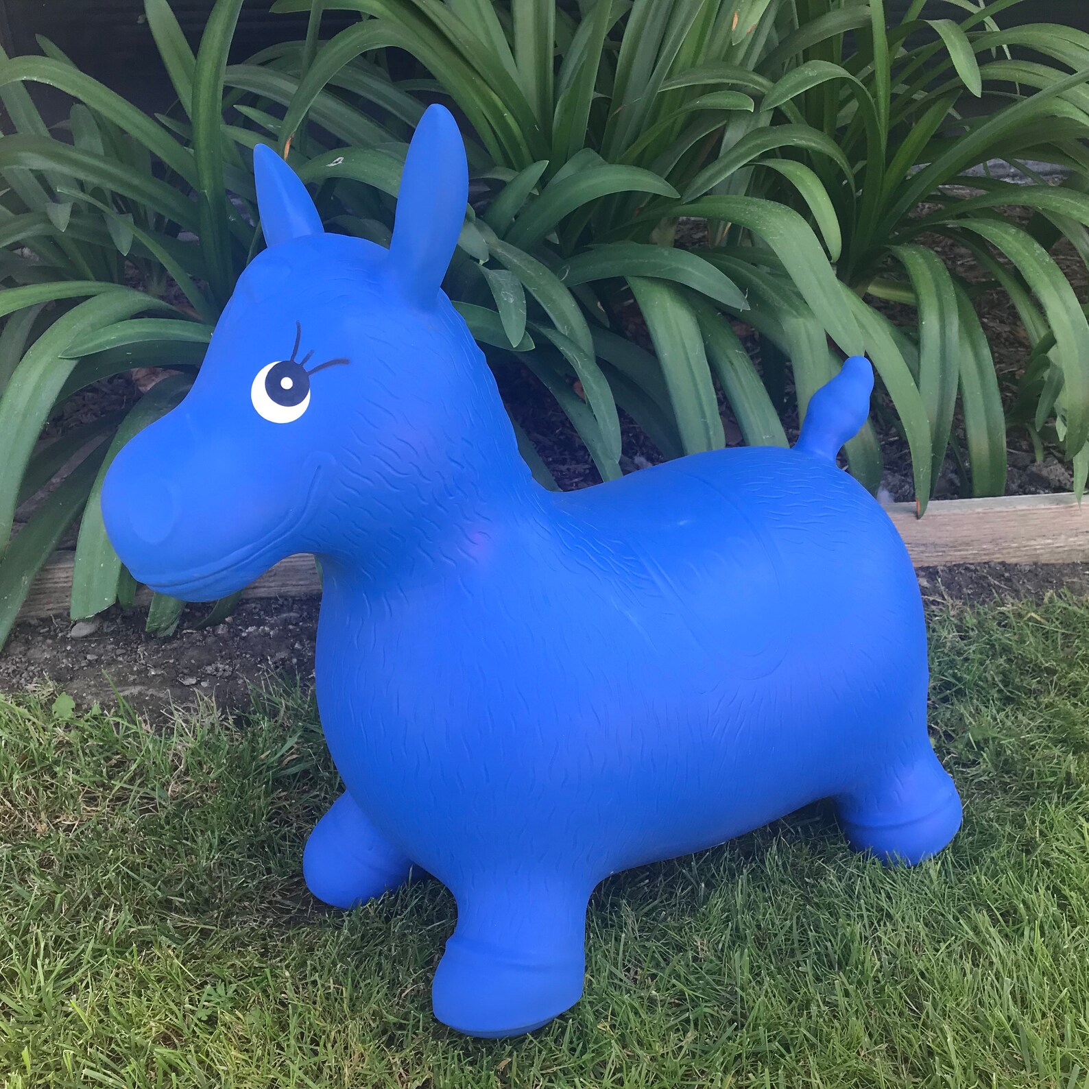 inflatable bouncy animal