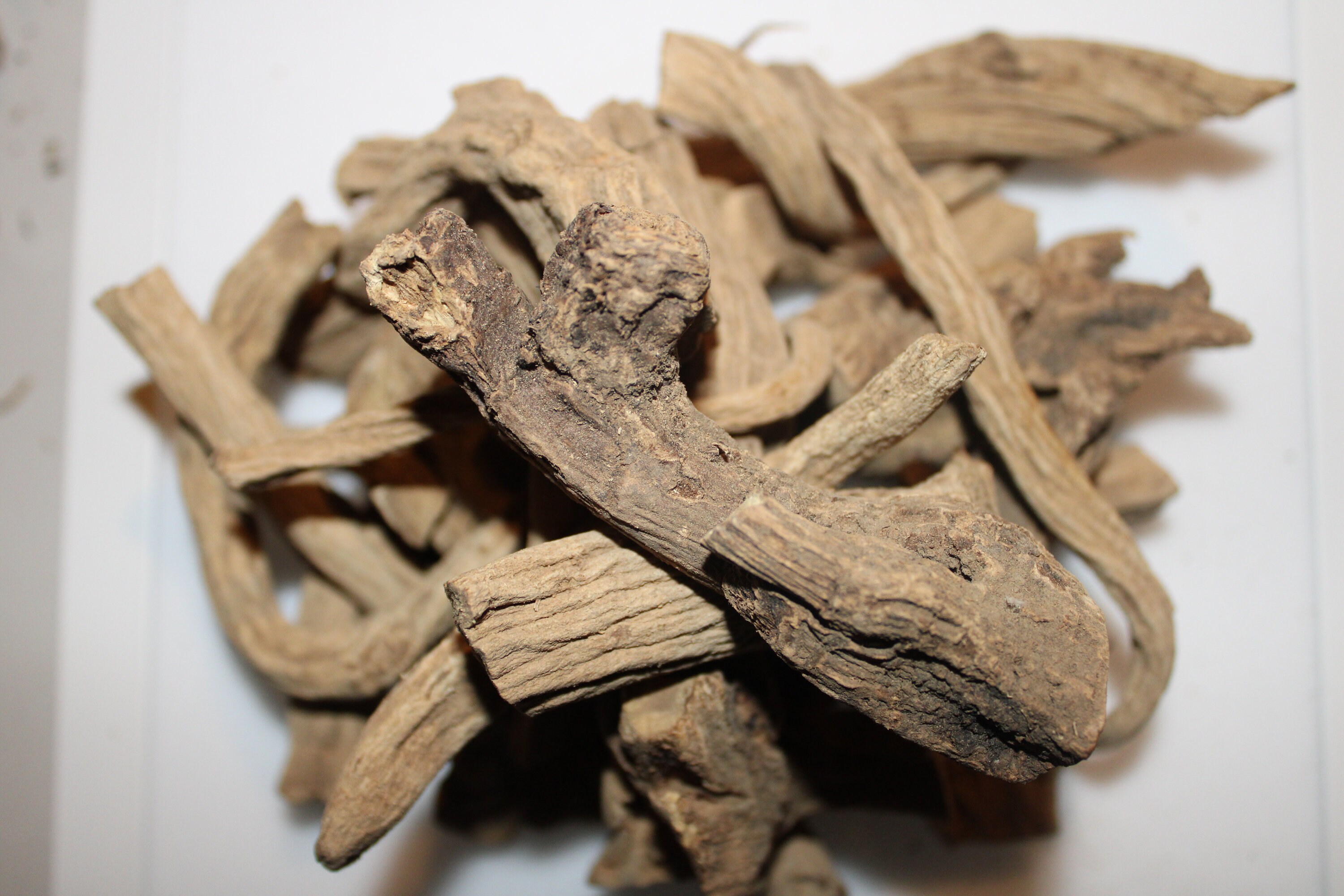 Valerian Root | Etsy