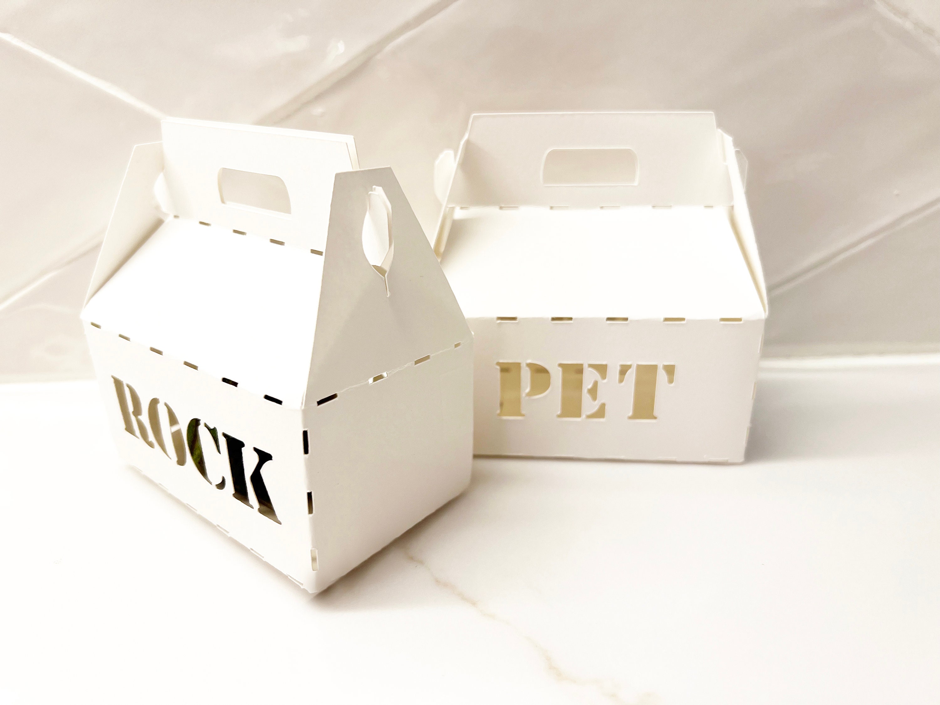 Pet rock box 2025