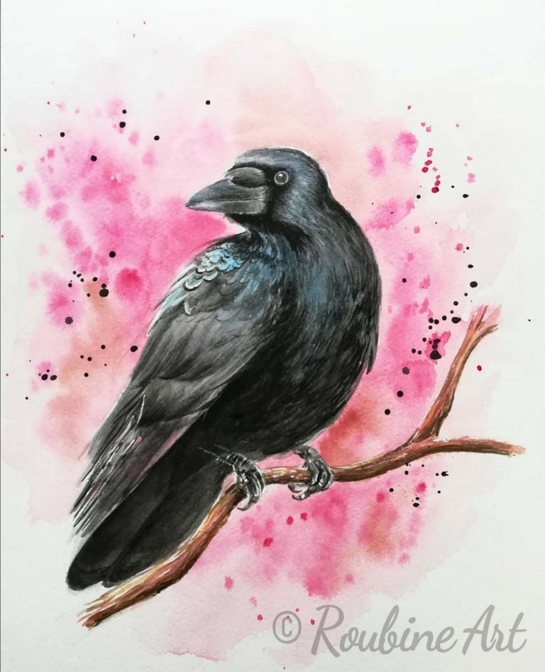 Painting Animals Raven Crow Watercolor Wildlife illustrations