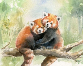 Cute Red Pandas  Watercolor Forest Wall Art Painting Prints Wild Life