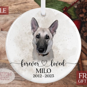 Custom Dog Ornament, Personalized Dog Gift, Dog Photo Gift, Pet Lover Gift, In Loving Memory of Dog, Dog Memorial Gift, Custom Christmas