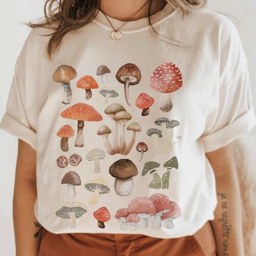 Pantoufle Ing nieurs Convergence Zara Egypt Hotline Graphique 