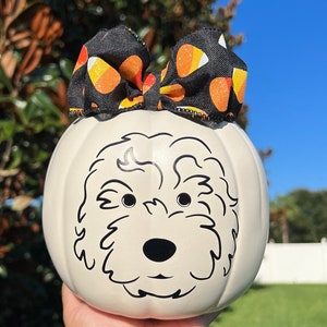 Golden Doodle Labradoodle Halloween Pumpkin Fall Dog Puppy Bernedoodle Cavapoo Home Decor Autumn Thanksgiving Decorations