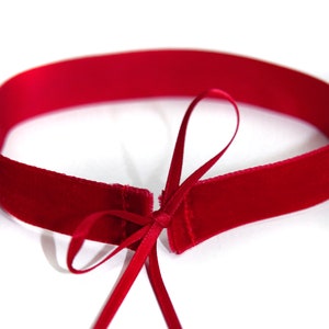Pu&ograve; includere: Un choker di velluto rosso con un fiocco. Il choker &egrave; legato con un lungo nastro che pu&ograve; essere regolato per adattarsi.