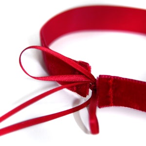 Pu&ograve; includere: Un nastro di velluto rosso legato in un fiocco. Il nastro &egrave; legato attorno a un pezzo di velluto rosso pi&ugrave; grande.