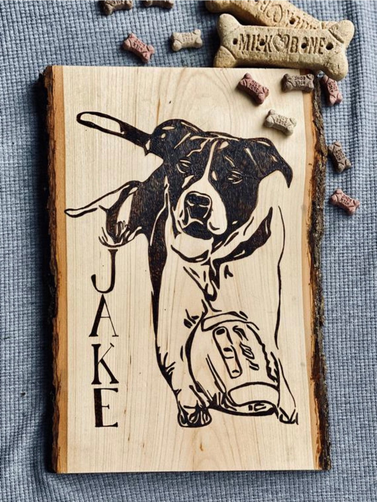 Why Do Dogs Eat Burnt Wood