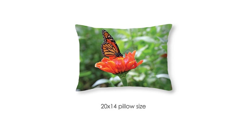 decorative pillow throw pillow designer pillow butterfly and flower pillow gift for her Monarch Butterfly Pillow pillow case