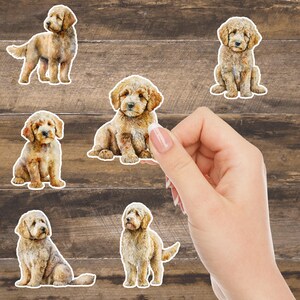 May include: Six watercolor illustrations of golden doodle dogs in various poses. The illustrations are on a white background and are perfect for scrapbooking, card making, or other craft projects.