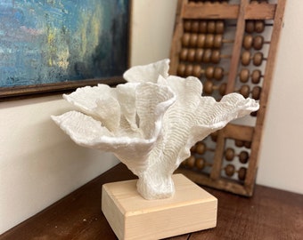 Free Shipping Vintage MCM White Coral Sculpture on Wooden Stand Decor