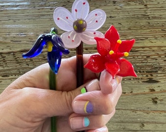 Könnte beinhalten: Drei farbenfrohe Glasblumenskulpturen. Eine tiefblaue Glockenblume, eine hellrosa Blume mit roten Punkten und eine leuchtend rote Blume mit gelben Akzenten. Die Blumen werden in einer Hand gehalten, was ihre filigrane Glasarbeit zeigt.