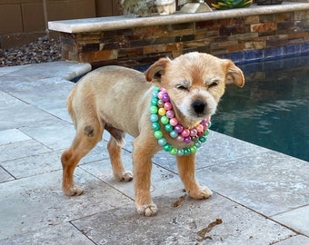 Colorful Faux Pearl Pet Necklace, Dog Cat Jewelry