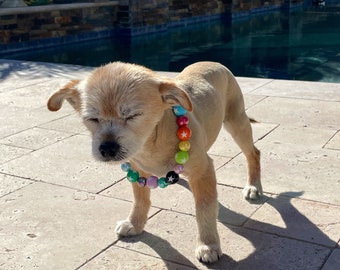 Bunte Faux Perlen Haustier Halskette: Hund & Katze Mode-Accessoire