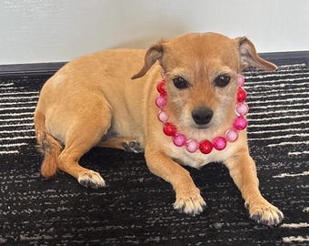 Colorful Dog Necklace, Cat Necklace, Pet Jewelry for that Perfect Occasion
