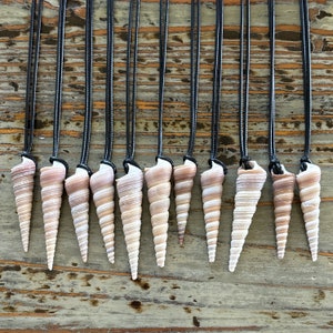 Puede incluir: Una colección de 12 collares de conchas con cordones negros. Las conchas son de color marrón claro con un patrón en espiral.