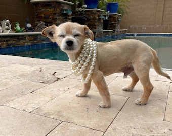 Pearl Pet Necklace: Faux Pearls, Chic Cat or Dog Jewelry