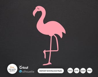 Flamingo SVG for Cricut, Flamingo Birds, Flamingo Pride, Fall Png, Vinyl Decal File for Cricut, Png File