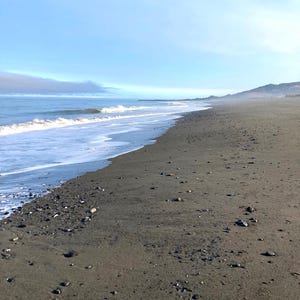 Oregon Coast Palm Stone: Raw Beach Energy, Gratitude Stone