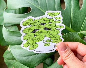 Nasturtium Sticker | Laptop Sticker | Planner Sticker | Plant Sticker