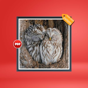 PDF Owls love cross stitch pattern Wild bird cross stitch Animal fantasy cross stitch Owl bird full coverage  pattern Owl art deco